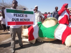 DEMONSTARING CAMEL- SOMALILAND